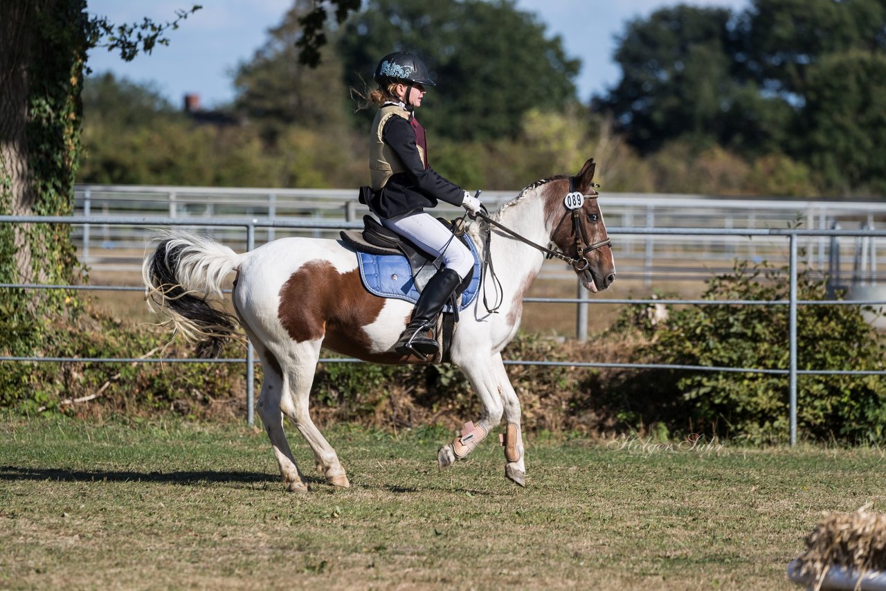 Bild 229 - Pony Akademie Turnier